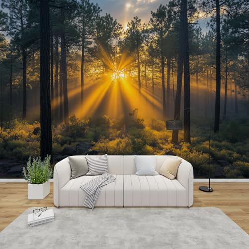 PaxGloz Fototapete Sonnenaufgang Wald Tapete Waldlandschaft Tapeten Vliestapete Modern Wandtapete Wohnzimmer Schlafzimmer Kinderzimmer Wanddeko Motivtapeten 416 x 254 cm (B x H) von PaxGloz