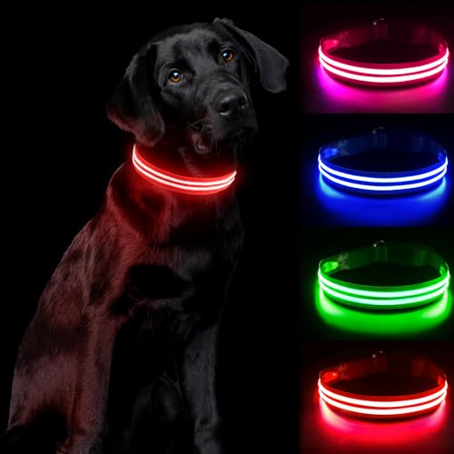 PcEoTllar Hundehalsband Leuchtend Aufladbar, Leuchthalsband Hund Wasserdichtes Einstellbare Blinklicht LED Halsband Hund für Kleine Mittlere Große Hunde, Sichtbarkeit im Dunkeln, Rot-M von PcEoTllar