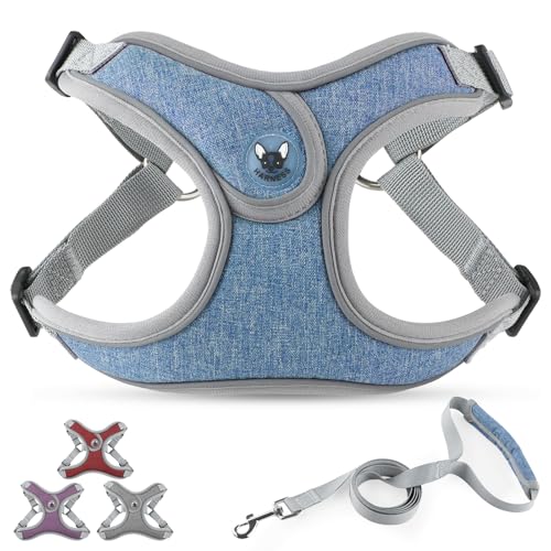 PcEoTllar Hundegeschirr Kleine Hunde und Leine Set, Reflektierend Geschirr Hund mit Weich Gepolstert, Step-in-Einstellbar Brustgeschirr für Kleine Mittelgroße Hunde, Blau-M von PcEoTllar