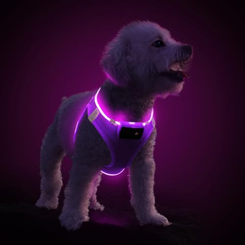 PcEoTllar Hundegeschirr Leuchtend, Leuchtgeschirr LED Aufladbar & Reflektierendes, Beleuchtetes Leuchtgeschirr für Welpe Klein Mittlere Hund, Atmungsaktiv Leucht Geschirr, Lila-L von PcEoTllar