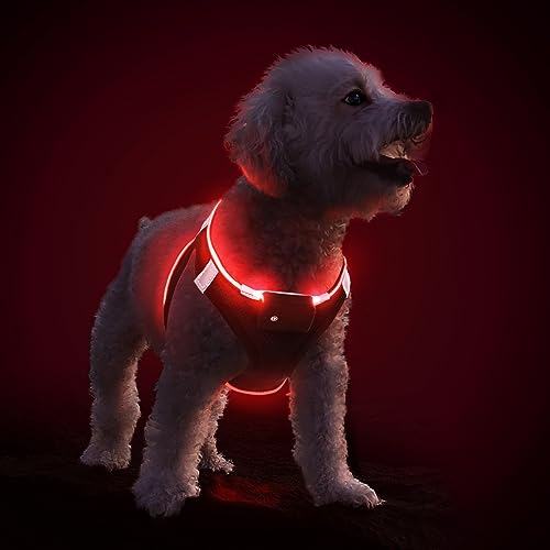 PcEoTllar Hundegeschirr Leuchtend USB Aufladbar Reflektierendes Leuchtgeschirr LED Leucht Brustgeschirr für Welpe Klein Mittelgroße Hund, Blinken Atmungsaktiv und Leichtgewicht, Schwarz Rot-XS von PcEoTllar