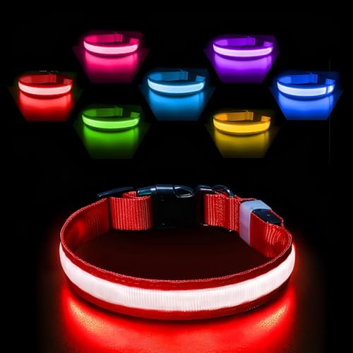 Leuchthalsband Hund Aufladbar USB-C, LED Halsband für Hunde Wasserdicht Hundehalsband Leuchtend 7 Farben Blinklicht Einstellbar Leichte Halsband Hunde für Kleine Mittlere Große Hunde, Rot L von PcEoTllar