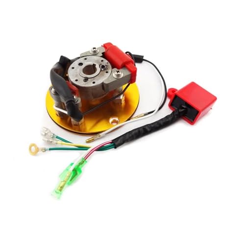 Gold Racing Magneto Stator Rotor CDI Kit for Motocross 110cc 125cc 140cc Lifan Motocross von PdFKLW