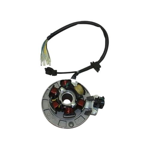 Lifan 140cc Magneto-Stator for CRF50 KLX Pit Motocross von PdFKLW