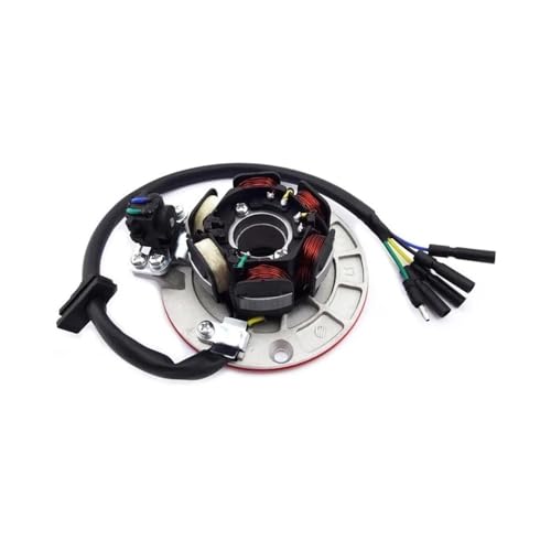 Magneto-Stator mit for 140cc 150cc 160cc Pit Dirt Bike YCFSSR IMR DHZ SDG GPX von PdFKLW