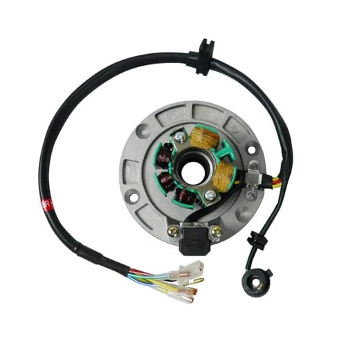 Motor Magneto Spule Stator for 4-Takt 1P60YMJ Zongshen 150cc 155cc 160cc Pit Monkey Bike Motocross von PdFKLW