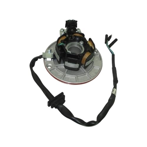 Motor-Magneto-Stator for 140ccm 150ccm 160ccm Motocross-Motorräder von PdFKLW