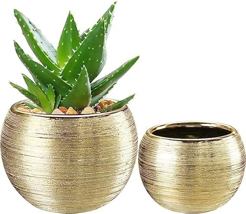 pdodo Gold Blumentopf Keramik, Dekorierten Übertopf, Blumentöpfe für den Innenbereich für Sukkulentenn,Runde Orchideen-Blumentöpfe, Blumentöpfe für Schlangenpflanzen, Kräuter im Innenbereich von pdodo