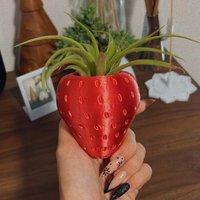 Mini Luftpflanzenhalter Erdbeere | 3D Gedrucktes Wohndekor Luftpflanzen Luft Blumentopf Erdbeer Dekor von PeachyPilea