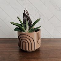 Regenbogen Pot Boho Übertopf | Mehrere Größen Verfügbar Home Decor 3D Gedruckter Blumentopf Dekorativer Sukkulenten von PeachyPilea