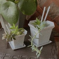 Take Out Box Sukkulenten Pflanzer | Mehrere Größen Erhältlich 3D-Gedruckter Pla Nachhaltiger Biokunststoff Perfekt Für Zimmerpflanzen von PeachyPilea