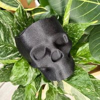 Totenkopf Blumentopf | Gruselige Wohnkultur 3D Gedruckter Blumenkasten Dekorativer Halloween Halloween-Dekor von PeachyPilea