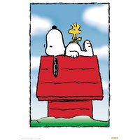 Poster Snoopy & Woodstock (Hütte) - Peanuts von Peanuts