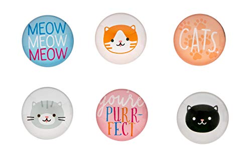Pearhead Cat Kitchen Magnets, Pet Themed Refrigerator Magnets, Cat Décor von Pearhead