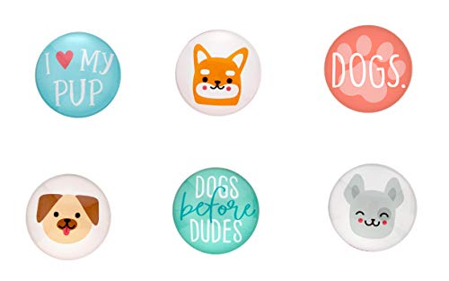 Pearhead Dog Kitchen Magnets, Pet Themed Refrigerator Magnets, Dog Décor von Pearhead