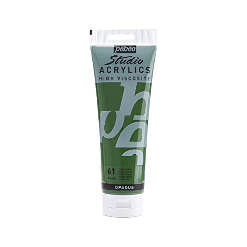 Pébéo - Acrylic Fine Studio Acrylics - Acrylfarbe für Künstler - Farbe für Profis und Anfänger - Leuchtende und pigmentierte Farbe - Grüne Erde - 250 ml von Pébéo