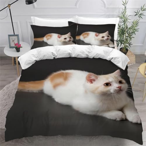 Pechiwuo Bettwäsche 135x200 cm Kätzchen Bettwäsche-Sets Katze Bettbezug Winter Weiche Mikrofaser Bettwäsche-Set Bettbezug 135x200 cm + 2 Kissenbezug 80x80 cm S507 von Pechiwuo