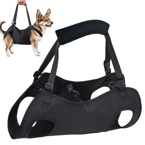 Hundehebegeschirr, Verstellbare Tragehilfe für Hunde, Hundetreppenhalterung,Hebegeschirr für Hundegeschirr für Hinterbeine, Sicherheitsgurt für Behinderte, Verletzte oder Ältere Hunde Hundehebegeschirr, Verstellbare Tragehilfe für Hunde, Hundetreppenhalterung,Hebegeschirr für Hundegeschirr für Hinterbeine, Sicherheitsgurt für Behinderte, Verletzte oder Ältere Hunde von Peelanmall