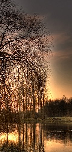 PeelitStickit - Wand- oder Türtapete, Poster - Design: Naturlandschaft - ID-1117 VenDooMur2_955 von PeelitStickit