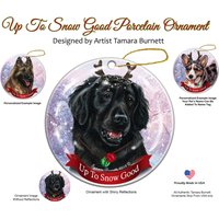 Flat Coated Retriever Im Anflug Auf Gute Verzierung von PegasusPetsCo