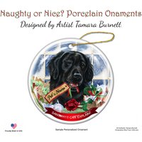 Flat Coated Retriever Ornamente von PegasusPetsCo