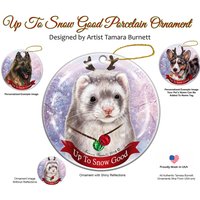 Frettchen Silber Zobel Bis To-Schnee Gute Verzierung von PegasusPetsCo