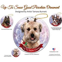 Schöne Verzierung Im Winter Schöne Verzierung Im Winter von PegasusPetsCo