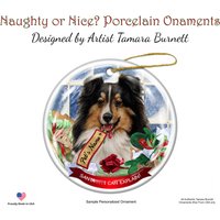 Sheltie Tri Color Santa Ich Kann Weihnachtsverzierung Erklären Sheltie Tri Color Santa Ich Kann Weihnachtsverzierung Erklären von PegasusPetsCo