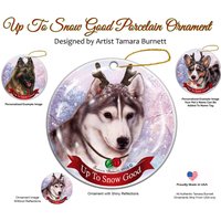 Siberian Husky Brown Eyes Grey/White Up To Snow Gute Verzierung Siberian Husky Brown Eyes Grey/White Up To Snow Gute Verzierung von PegasusPetsCo