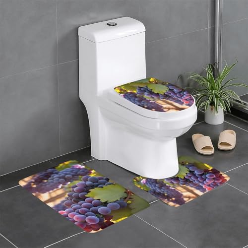 Pegqcvam Desert Grapes 3-teiliges Badezimmerteppich-Set, vollständig bedruckt, weiche rutschfeste Matten, geeignet für Badezimmer, Toiletten und Böden. von Pegqcvam