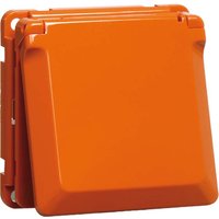 Peha SCHUKO-Steckdose orange 16A 250V Abdeckung D 6711.33 K von PEHA Elektro GmbH & Co. KG