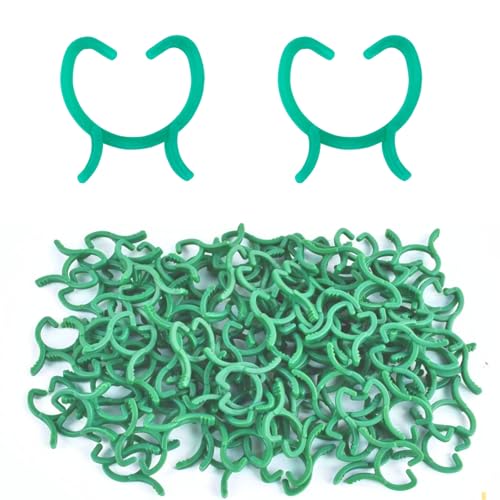 100 Stück Klein Pflanzenclips Grün für Kletterpflanzen,Wiederverwendbar Pflanzenklammern Blumenklammern Tomatenclips Ranken Clips Pflanzen Clips Gartenklammern für Pflanzen Sicherung Gemüse Obst 100 Stück Klein Pflanzenclips Grün für Kletterpflanzen,Wiederverwendbar Pflanzenklammern Blumenklammern Tomatenclips Ranken Clips Pflanzen Clips Gartenklammern für Pflanzen Sicherung Gemüse Obst von Pejlnd