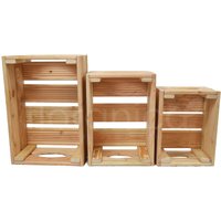 Floranica Holzkiste Lärche Natur 3er Set Gartendeko Aufbewahrungsboxen Obstkisten Blumentopf Holz Ki von Pemicont