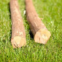 Zaunpfahl Haselnussholz Höhe 90cm 1 Stk. Zaun Pfosten Durchmesser 6-8 cm Zaunpfahl Haselnussholz Höhe 90cm 1 Stk. Zaun Pfosten Durchmesser 6-8 cm von Floranica