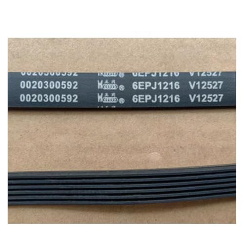 Pengchang Kompatibel mit Haier Trommelwaschmaschinenriemen 6PJE1216 6PJ1216 6PJ1216 6J1216 Pengchang Kompatibel mit Haier Trommelwaschmaschinenriemen 6PJE1216 6PJ1216 6PJ1216 6J1216 von Pengchang