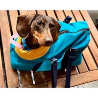 Tragetasche Hund - Gr. Xs/S, Material Personalisierbar | Canvas, Cord Oder Leinen/Innenstoff Fleece Reisetasche, Haustier von PennyAndStitch04