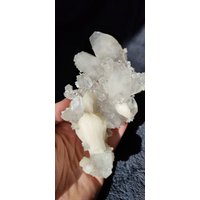 Ansammlung Von Apophyllit-Kristallen Mit Zwei Enden Und Stilbit Auf Matrix von PentagonitA