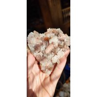 Brauner Stylbite in Chalcedonkoralle Mit von PentagonitA
