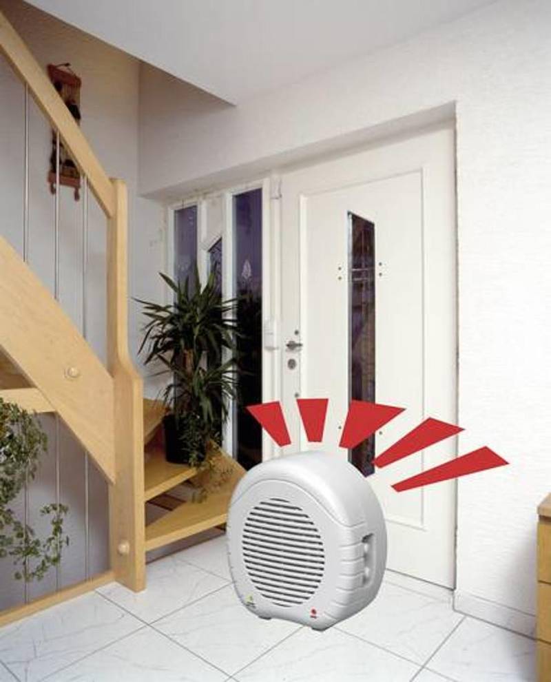 Elektronischer Wachhund Ew 01 Erfassungsweite Max 7 M Weiss 433 M Hz 12 V/Dc B-Ware von Pentatech