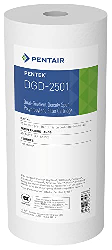 Pentair Pentek DGD-2501 155359-43 Big Blue Sediment-Wasserfilter, 11,4 x 25,4 cm, 100% reines Polypropylen, Farbverlaufsdichte, 1 Mikron von Pentek