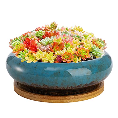 Peohud 18cm Runder Keramischer Sukkulenten Pflanztopf, Glasierte Keramische Bonsai-Töpfe, Blumenkübel, dekorativer Kaktus-Ständer mit Entwässerungsloch, Bambus-Tablett, blau von Peohud