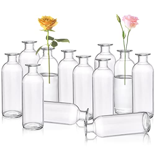 Peohud 12-teiliges Set Glasvasen, klare kleine Blumenvasen, dekorative Glasflaschen für Zuhause, Hochzeiten, Empfänge und Partys von Peohud