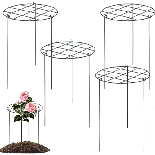 Heavy Duty Peony unterstützt, Pfingstrosenkäfige und -unterstützungen, 4pcs 12x16 '' Iron Round Plant Cages & mit 3 Beinen für Rosen, Tomate, Orchideenreben, Pflanze Heavy Duty Peony unterstützt, Pfingstrosenkäfige und -unterstützungen, 4pcs 12x16 '' Iron Round Plant Cages & mit 3 Beinen für Rosen, Tomate, Orchideenreben, Pflanze von Peosaard