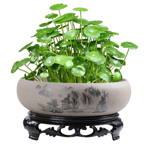 Peosaard Lotus Bowl Pflanzer Landschaftsmuster Keramik Lotus Bowl 7x3in rund flaches Hydroponic Pflanzer mit Basis für Wasserlilie Peosaard Lotus Bowl Pflanzer Landschaftsmuster Keramik Lotus Bowl 7x3in rund flaches Hydroponic Pflanzer mit Basis für Wasserlilie von Peosaard