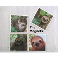 Faultier Magnete Fliesen Lustige Geschenk Für Freund Humorvoll Büro Swap Tier Faultiere - 4Er-Set von PeppercornPrincess