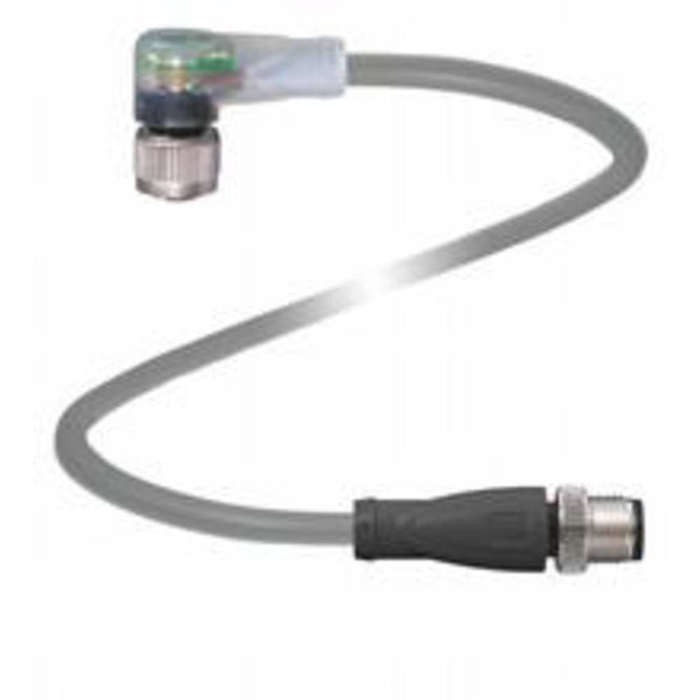 Pepperl+Fuchs 240780 0018 Sensor /Aktor Steckverbinder M12 Stecker Gerade Buchse B-Ware Pepperl+Fuchs 240780 0018 Sensor /Aktor Steckverbinder M12 Stecker Gerade Buchse B-Ware von Pepperl+Fuchs