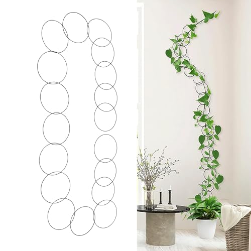 PerGar Metallkettenspalier, Kettenspalier für Kletterpflanzen Im Innenbereich, Runde Wandketten-Pflanzenrankenstütze aus Edelstahl, Wandbehangspalier für Pflanzenzubehör Im Innen- und PerGar Metallkettenspalier, Kettenspalier für Kletterpflanzen Im Innenbereich, Runde Wandketten-Pflanzenrankenstütze aus Edelstahl, Wandbehangspalier für Pflanzenzubehör Im Innen- und von PerGar