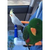 Sitzstange 1/2"Pvc #9 von PerchPerfect