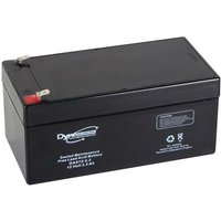 Perel - Dyno Europe bleiakku - 12 v - 3.3 Ah - 133.5 x 67 x 67 mm von Perel