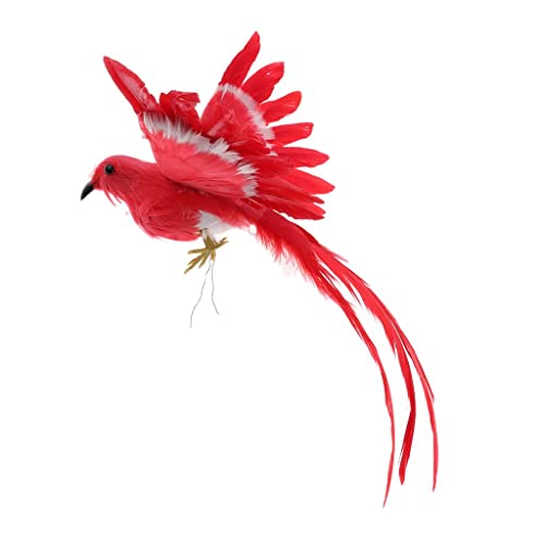 Perfeclan Farbenfrohe Vogeldekoration, Gefiederte Dekorationen Bunte Design Modell Künstliche Lebensechte Gefiederte Deko, Roter Schwanz von Perfeclan